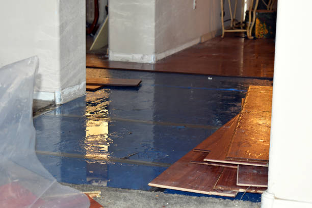 Professional Basement Flood Cleanup technician working in Douglas, MI